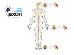 Anatomy Education Research2